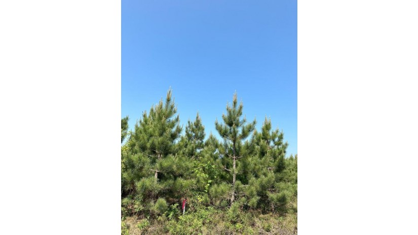 On Kjar Rd Lot 26 Nokomis, WI 54487 by First Weber - Rhinelander $69,230