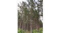 On Kjar Rd Lot 27 Nokomis, WI 54407 by First Weber - Rhinelander $167,900