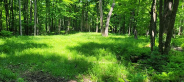 Lot I Basswood Ridge Ln, Presque Isle, WI 54557