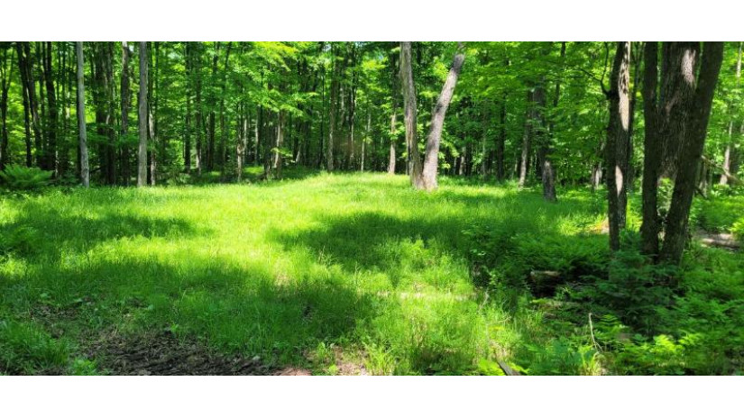 Lot I Basswood Ridge Ln Presque Isle, WI 54557 by Redman Realty Group, Llc $59,000