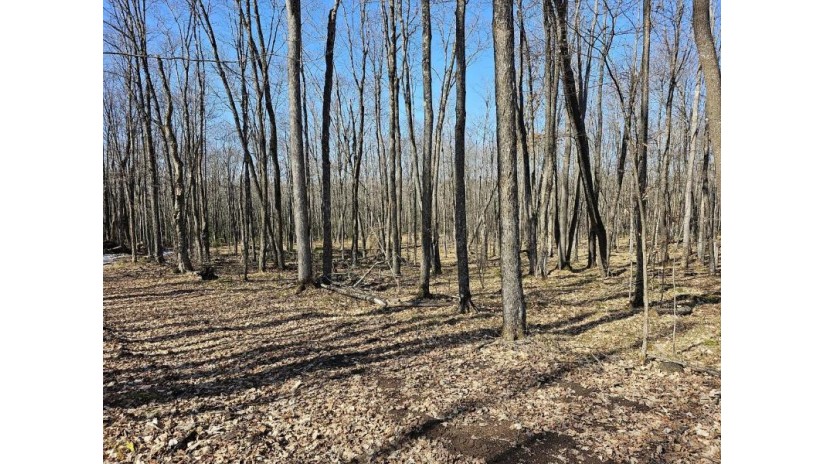 Lot I Basswood Ridge Ln Presque Isle, WI 54557 by Redman Realty Group, Llc $59,000