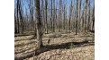 Lot I Basswood Ridge Ln Presque Isle, WI 54557 by Redman Realty Group, Llc $59,000