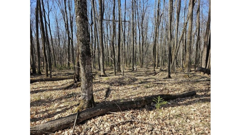 Lot I Basswood Ridge Ln Presque Isle, WI 54557 by Redman Realty Group, Llc $59,000