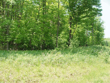 4th Add. Margaret Ln Lot 12, Park Falls, WI 54552