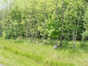 4th Add. Margaret Ln Lot 13, Park Falls, WI 54552