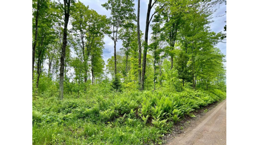 On Bradley Lake Rd 3.93 Acres Crandon, WI 54520 by Homeland Realty Wi Llc $39,900