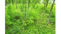 On Bradley Lake Rd 3.93 Acres Crandon, WI 54520 by Homeland Realty Wi Llc $39,900