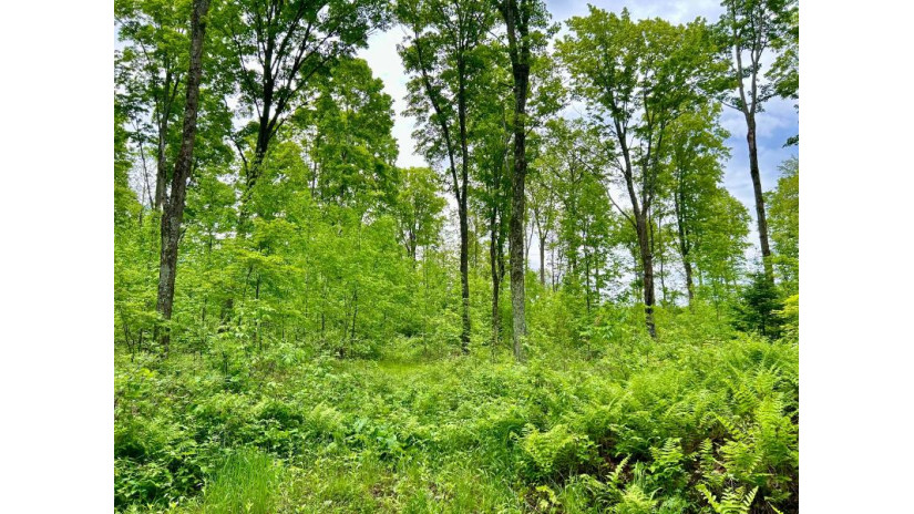 On Bradley Lake Rd 3.93 Acres Crandon, WI 54520 by Homeland Realty Wi Llc $39,900