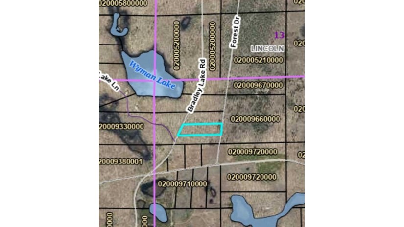 On Bradley Lake Rd 3.93 Acres Crandon, WI 54520 by Homeland Realty Wi Llc $39,900