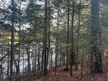 Lot 4 On Hug Ln, St. Germain, WI 54558