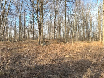 Lot1 Thorn Apple Dr, Wittenberg, WI 54499