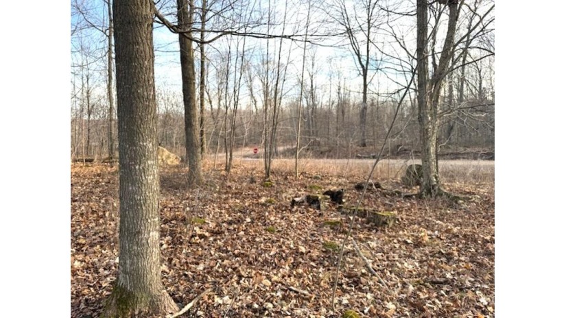 Lot1 Thorn Apple Dr Wittenberg, WI 54499 by Shorewest Realtors $28,500