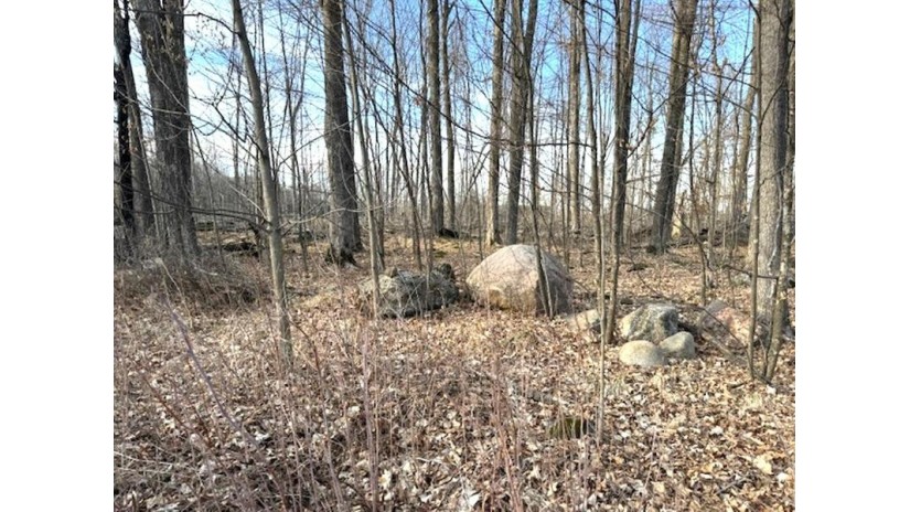 Lot 2 Thorn Apple Dr Wittenberg, WI 54499 by Shorewest Realtors $26,900