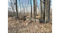 Lot 2 Thorn Apple Dr Wittenberg, WI 54499 by Shorewest Realtors $26,900