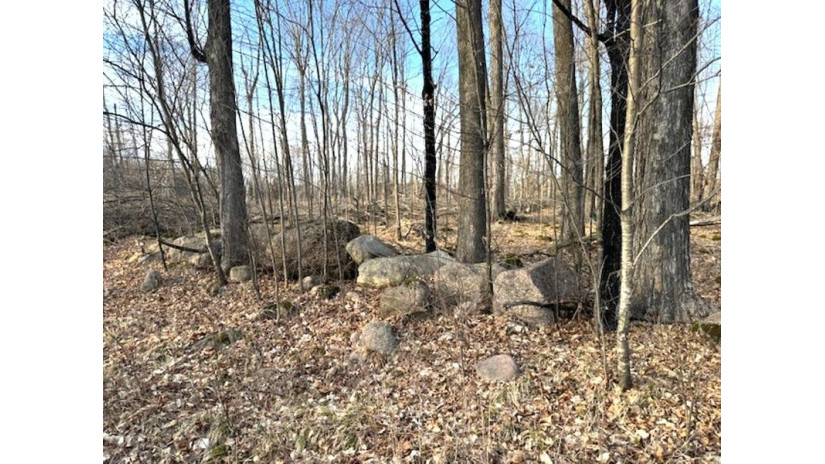 Lot 2 Thorn Apple Dr Wittenberg, WI 54499 by Shorewest Realtors $26,900