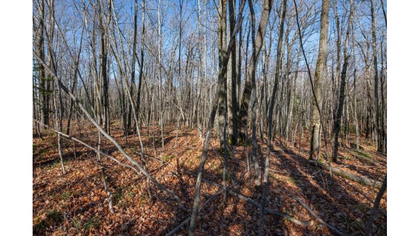 Lot 2 Cth B Presque Isle, WI 54557 by Re/Max Property Pros $79,000