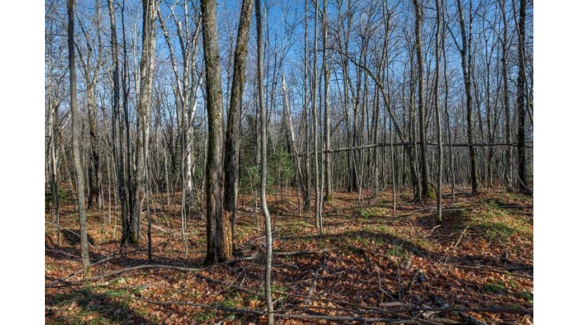 Lot 2 Cth B Presque Isle, WI 54557 by Re/Max Property Pros $79,000