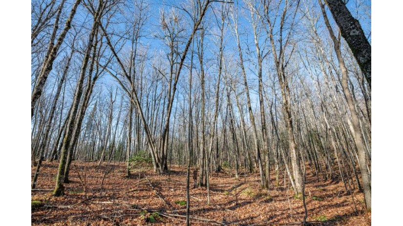 Lot 2 Cth B Presque Isle, WI 54557 by Re/Max Property Pros $79,000