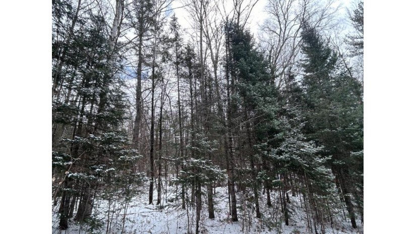 Lot # 10 Moonshine Valley Rd Presque Isle, WI 54557 by Re/Max Property Pros $32,500