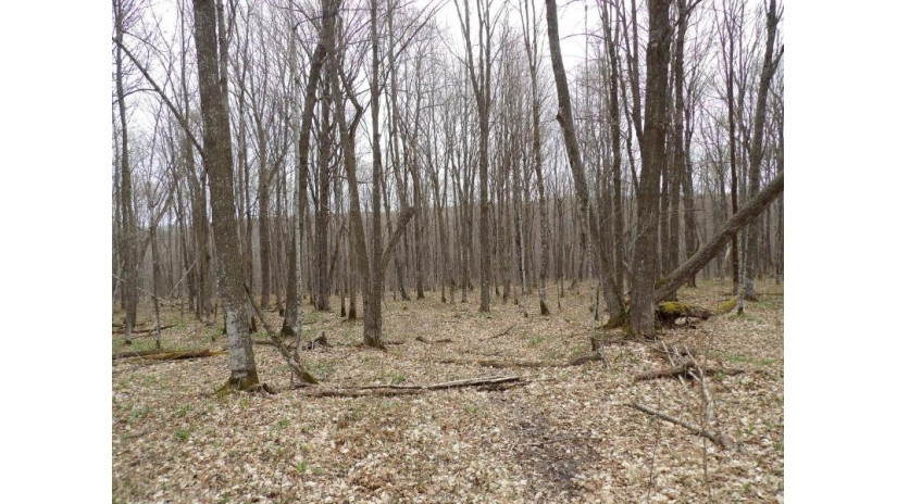 On Tower Rd Winter, WI 54896 by Birchland Realty, Inc. - Phillips $25,000