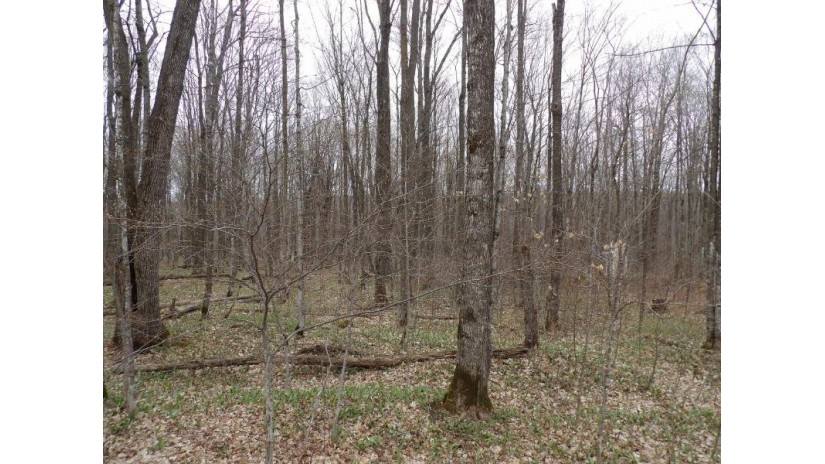 On Tower Rd Winter, WI 54896 by Birchland Realty, Inc. - Phillips $25,000