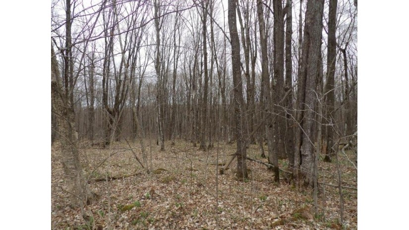 On Tower Rd Winter, WI 54896 by Birchland Realty, Inc. - Phillips $25,000