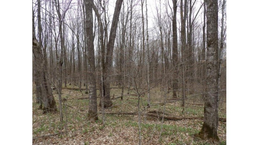 On Tower Rd Winter, WI 54896 by Birchland Realty, Inc. - Phillips $25,000