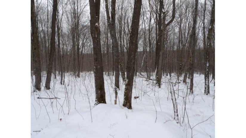 On Tower Rd Winter, WI 54896 by Birchland Realty, Inc. - Phillips $25,000