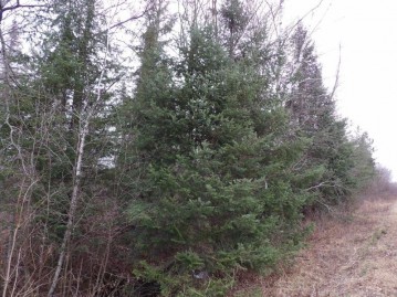 Off Knapp Rd, Ojibwa, WI 54896