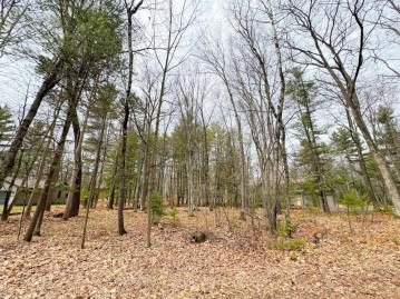 Lot 100 Trailwood Dr, Minocqua, WI 54548