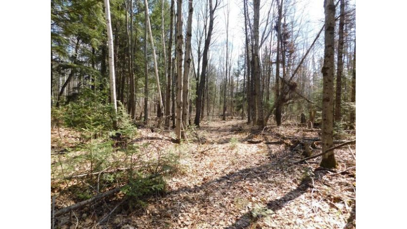 73.56 Ac Flowage Ln Crandon, WI 54520 by Local Living Realty, Llc $199,999