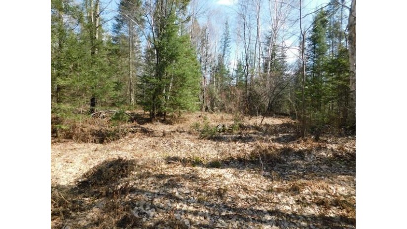 73.56 Ac Flowage Ln Crandon, WI 54520 by Local Living Realty, Llc $199,999