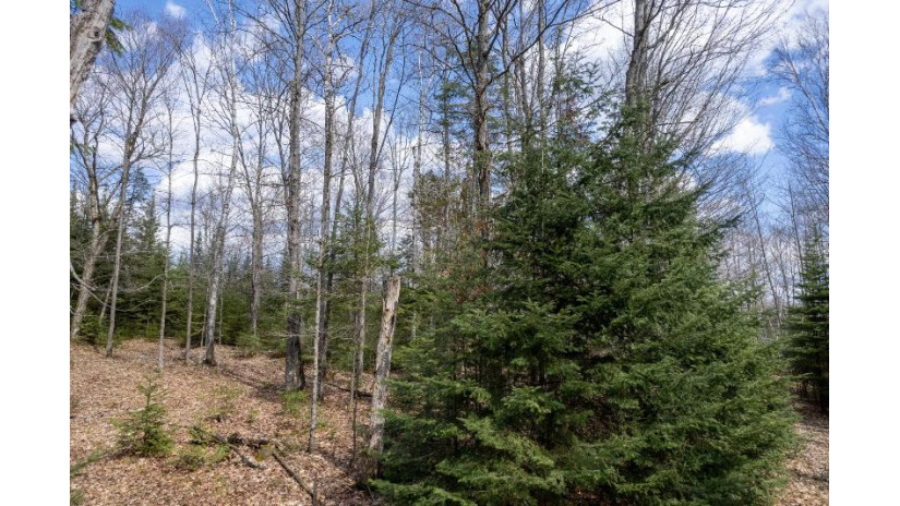 On Bears Den Presque Isle, WI 54557 by Redman Realty Group, Llc $419,000