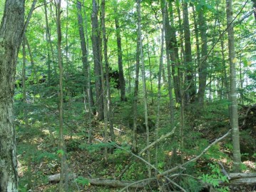 Lot 35 Alpine Dr, Hurley, WI 54565