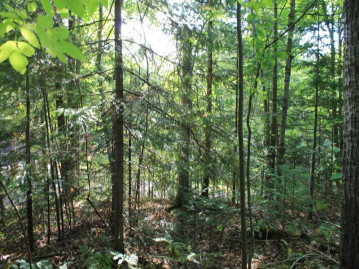 Lot 16 Alpine Dr, Anderson, WI 54565