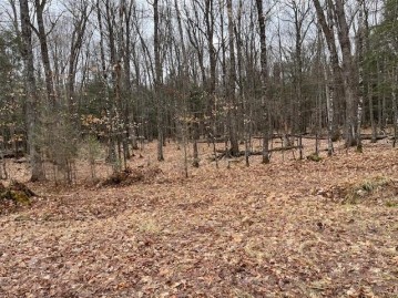 On Forest Lake Rd W Lot 1, Land O Lakes, WI 54540