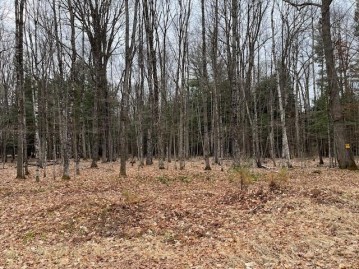 On Forest Lake Rd W Lot 3, Land O Lakes, WI 54540