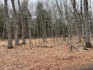 On Forest Lake Rd W Lot 4, Land O Lakes, WI 54540