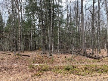 On Forest Lake Rd W Lot 2, Land O Lakes, WI 54540