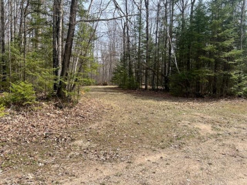 On Mary Lake Ln Lot 3, Wolf River, WI 54175