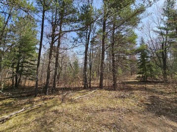 Near Jack Pine Forest Rd, Newbold, WI 54521