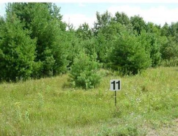 Lot 11 Owen Lane, Cable, WI 54821