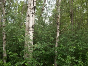 Lot #70 Bayfield/29 7/8 Ave, Birchwood, WI 54817