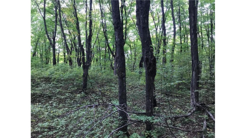 80 acres Namakagon Sunset Road Cable, WI 54821 by Coldwell Banker Real Estate Consultants $175,000