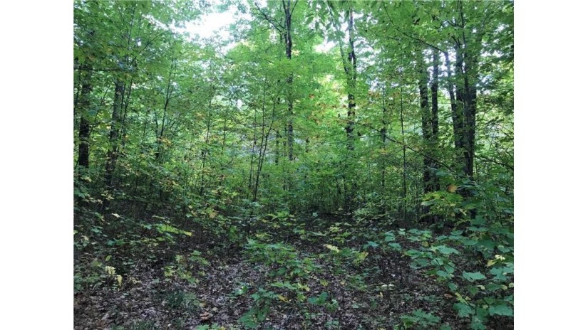 80 acres Namakagon Sunset Road Cable, WI 54821 by Coldwell Banker Real Estate Consultants $175,000