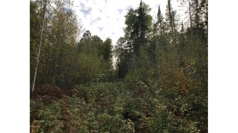 80 acres Namakagon Sunset Road Cable, WI 54821 by Coldwell Banker Real Estate Consultants $175,000