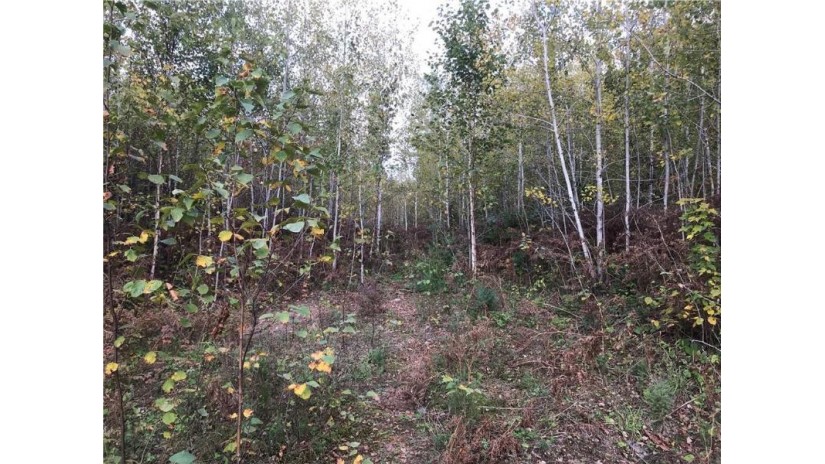 80 acres Namakagon Sunset Road Cable, WI 54821 by Coldwell Banker Real Estate Consultants $175,000