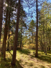 Lot 22 Golden Eagle Trail, Barnes, WI 54873