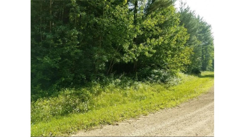 Lot 35 297th Street Eau Galle, WI 54737 by Asher Realty Group $25,900