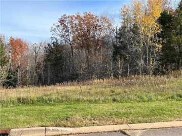 LOT 6 Wilderness Hills Lane, Luck, WI 54853